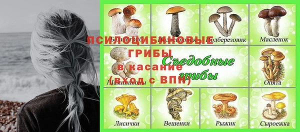 трава Мегион