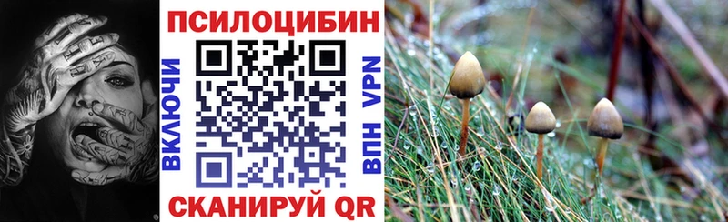наркошоп  гидра ссылка  shop официальный сайт  Николаевск-на-Амуре  Галлюциногенные грибы Psilocybe 