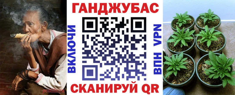 omg как войти Николаевск-на-Амуре Шишки марихуана гибрид